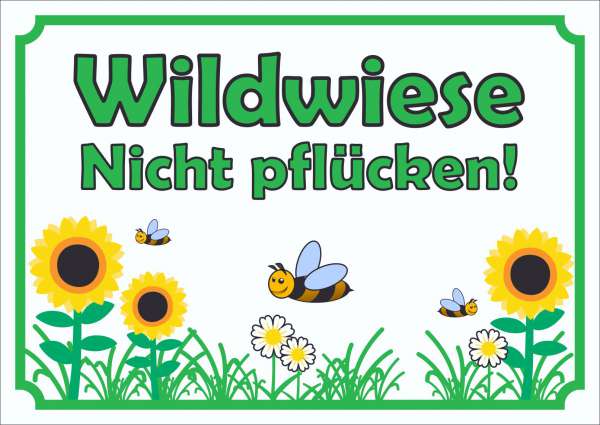 Schild Wildwiese Nicht pflücken waagerecht