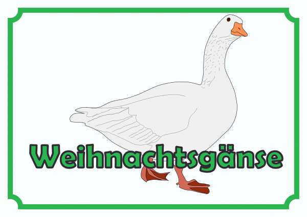 Weihnachtsgans Verkaufsschild Schild