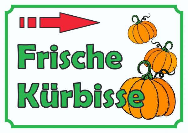 Verkaufsschild Schild Kürbis zu verkaufen Pfeil nach rechts