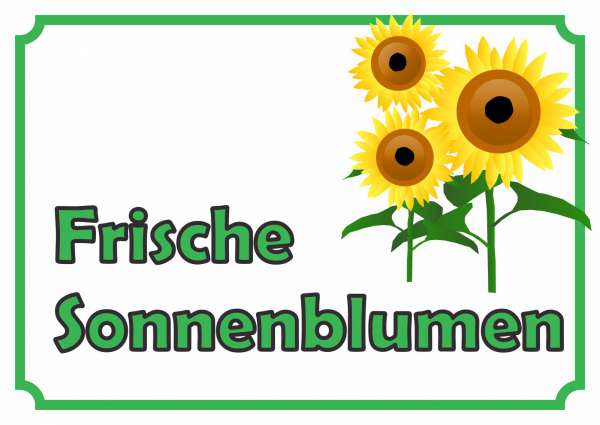 Sonnenblumen Verkaufsschild Hofladen Verkaufsförderung